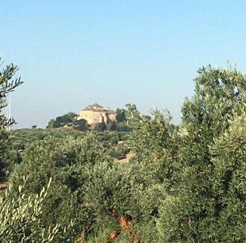 Paisaje (6)